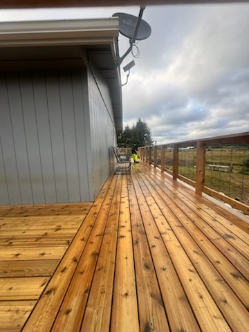Before and after Siding Cleaning