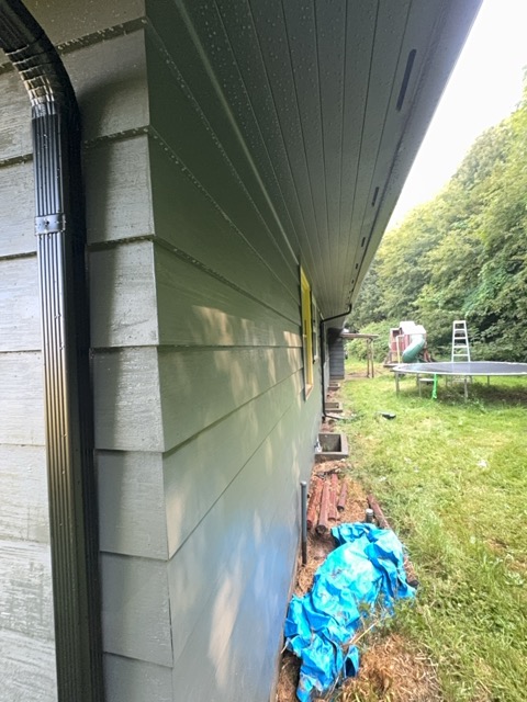 Before and after Siding Cleaning