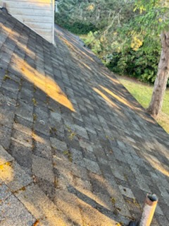 Before and after Roof Cleaning