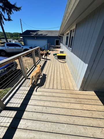 Before and after Siding Cleaning